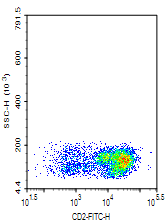 CD2-FITC