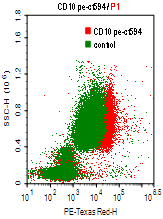 CD10-PE-CF594