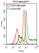 CD11c-FITC