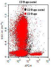 CD19-APC