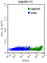 CD36-FITC